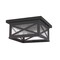 Z-Lite Brookside 2 Light Outdoor Flush Ceiling Mount Fixture, Black And Clear Seedy 583F-BK - alternate 2